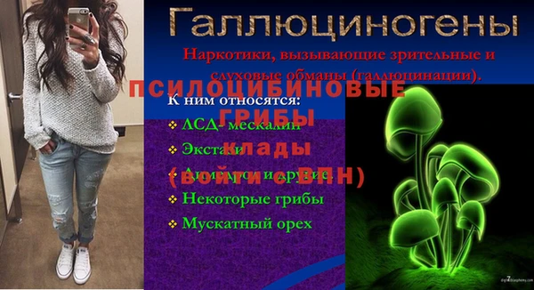 MESCALINE Белокуриха