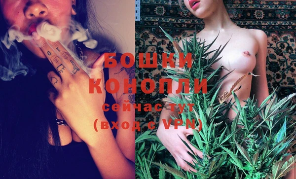 стаф Белоозёрский