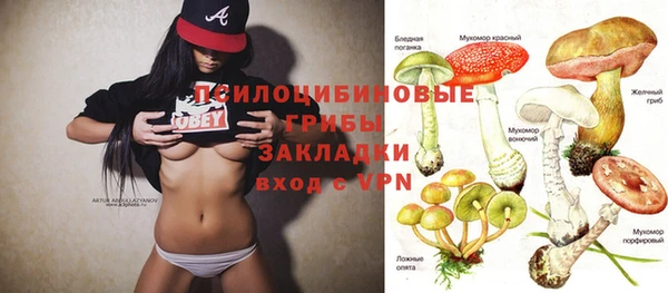 стаф Белоозёрский