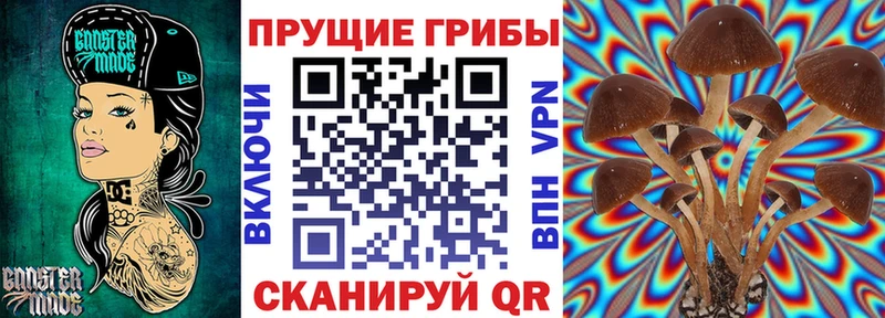 Псилоцибиновые грибы MAGIC MUSHROOMS  Купить закладки  Гремячинск 
